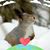 Hilary Hoyt's profile image