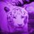 Linda Ridlington's profile image
