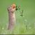 Debbie N David Holmes's profile image
