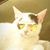 Jay Gee's profile image