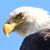 Keith KC Strockbine's profile image