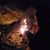 Aimee L. McDermott's profile image