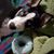 Jamie Little Puente's profile image