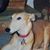 Ruth M. Tuccio's profile image