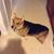 Shirley Johnson-Thomas's profile image