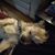 Christine Weihe's profile image