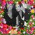 Wendy Diorio's profile image