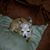 Valerie Dugal Murphy's profile image