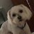 Statha Gilliam Osborne's profile image
