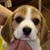 Deb Zimny Kern's profile image