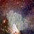 Maggie Engelsma's profile image
