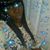 Ivella Bowdiva Barringer's profile image