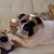 Jeannie Patterson's profile image