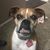 Stacey Levinthal's profile image