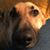 Paul Caruthers's profile image