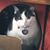 Stephanie M. Davis's profile image
