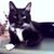 GeorgeAnn Bernotas Donnelly's profile image