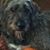 Rebecca Klein's profile image