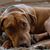 Diane Craig's profile image