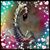 LaSandra McCadney's profile image
