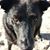 Debbie Shoup's profile image