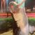 Denette Scarpaci's profile image