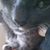 Breana Kay Luna Larson's profile image
