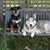 Lisa Gildersleeve Seiler's profile image