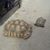 David Nelson's profile image