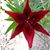 Tammy Nealey's profile image