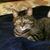 Laurie Martin's profile image