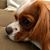 Nong P. Huffman's profile image