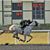 Michael Andreottola's profile image