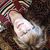 Lynne Phoenix Brown's profile image