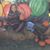 Aly Jusino's profile image