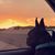 LuLa Marie's profile image
