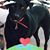 Sheryl Howe DeWitt's profile image