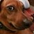 Cindy Crabb's profile image