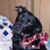 Frank Duffy's profile image