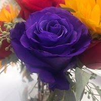 Marivel Bermudez's profile image
