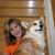 Lisa Salow's profile image