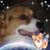 Jeananne Halfyard's profile image
