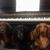 Odette Fay Woitschek's profile image