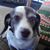 Pam Peters's profile image