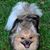 Linda Stone's profile image