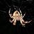 Thea Hughes's profile image
