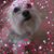 Robyn Horseman's profile image
