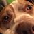Walter ChiChi Henry's profile image