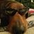 Kevin Aj Griffin's profile image