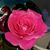 Jenny Legge's profile image